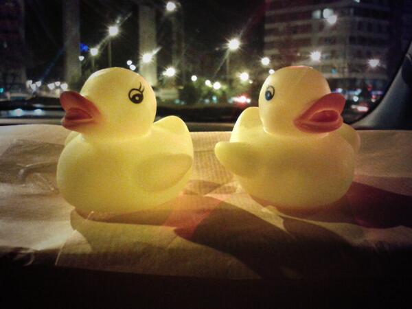 lauraggla's tweet photo. Pues no están tan mal estos 2 patitos...  Gracias @indenit ! http://t.co/AKsaszYuXm