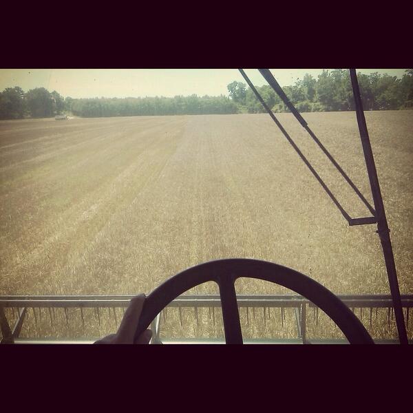 Carrwhitfield's tweet photo. Take me back #WhitfieldFarms @farmerpics @FarmKidLife #wheatseason2012 http://t.co/fXkX6lu3e4