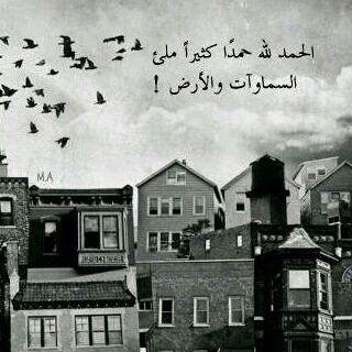 ade_ooo's tweet image. 