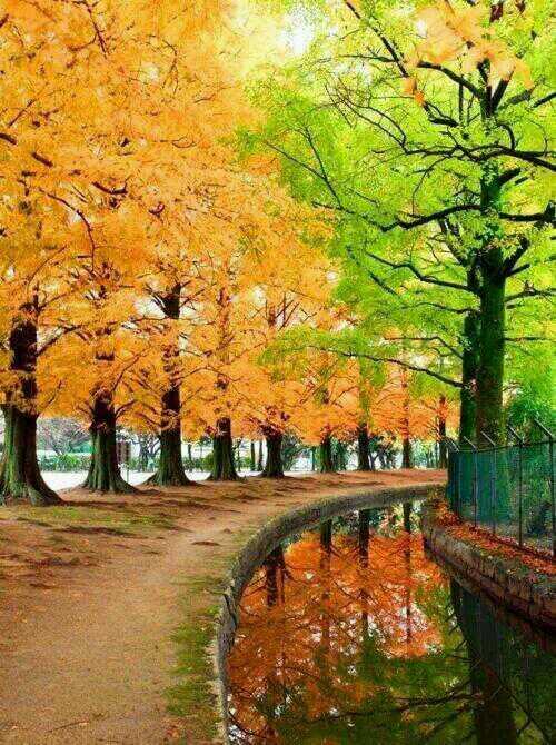 CarolF2175's tweet photo. RT"@wongiky: "@ilike140  http://t.co/ThRcY9lelp" #photography #nature