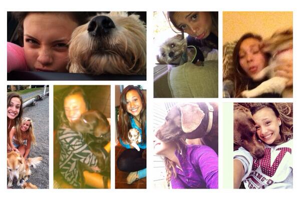 MilsteadSofia's tweet image. "A dog is the only thing that loves you more than it loves itself" 🐶💕🌻#obsessed #notevenhalf #puppylove