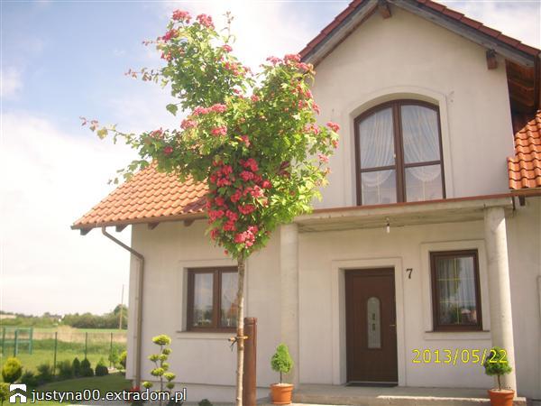 Wygodny i funkcjonalny APS 161 bit.ly/1ejMeyC