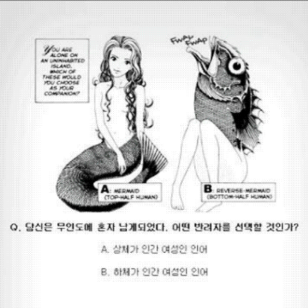 요새 힘든일이너무많다.. 헤헤

당장에 큰일만 네개네