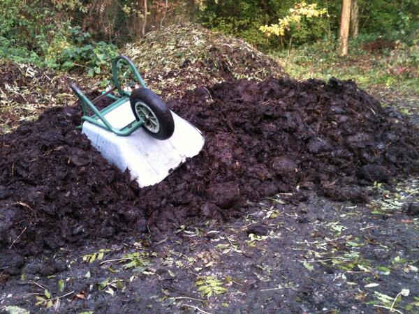 Today I'll be mostly shovelling shit. #allotmentheaven