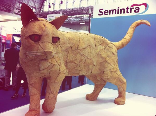 TheKennelClubUK's tweet photo. Giant Nacho #cat at @LVS_2013! #vetshow http://t.co/VCwTCk23ju