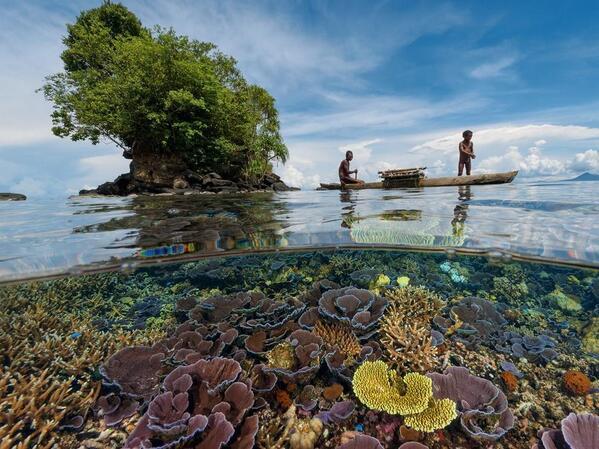 earthcapture's tweet photo. Kimbe Bay, Papua New Guinea #saveearth http://t.co/7Cinaocf2M