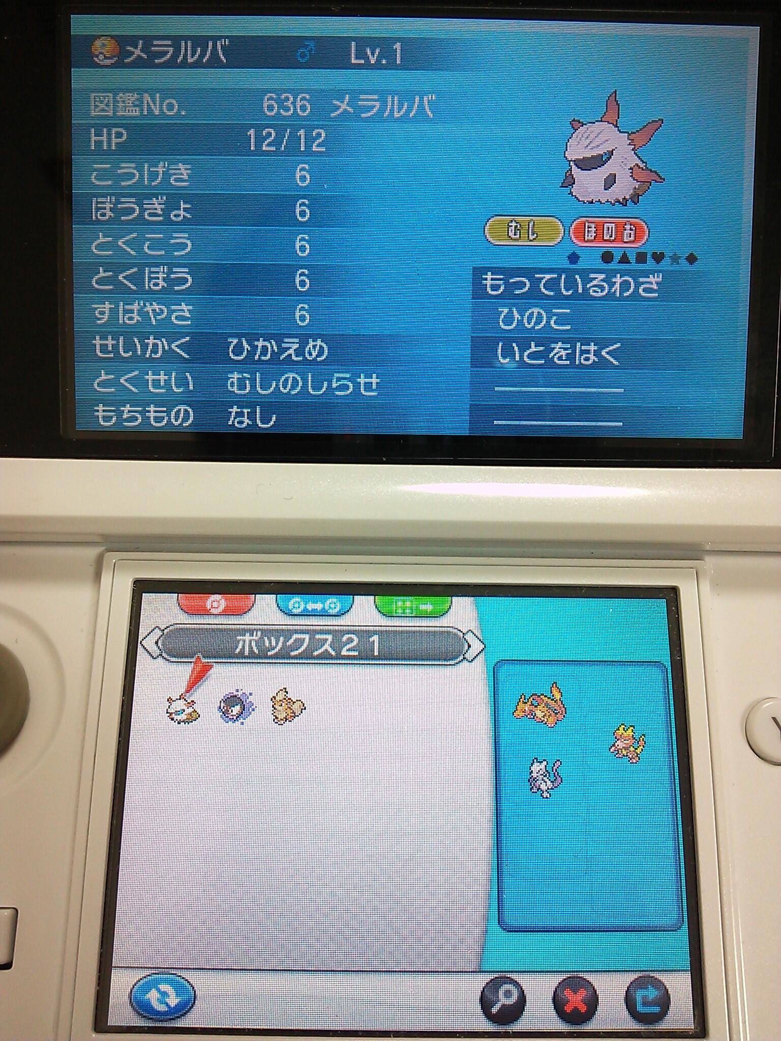 ポケー Twitter