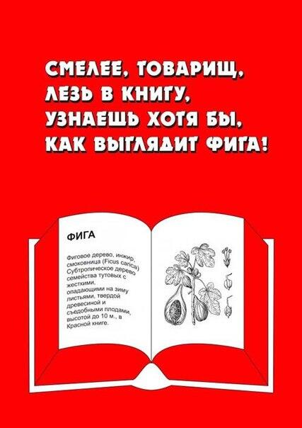 y_gromok's tweet photo. http://t.co/lJjwzksUNf