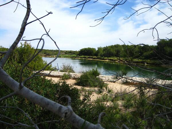FotosComVal's tweet photo. La Dehesa del Saler, Valencia. http://t.co/1UlH614QjI