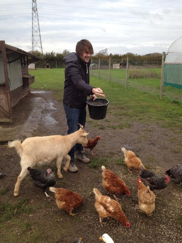 Proud of our team today - we all volunteered at a local charity farm digging, making raised veg beds, feeding animals