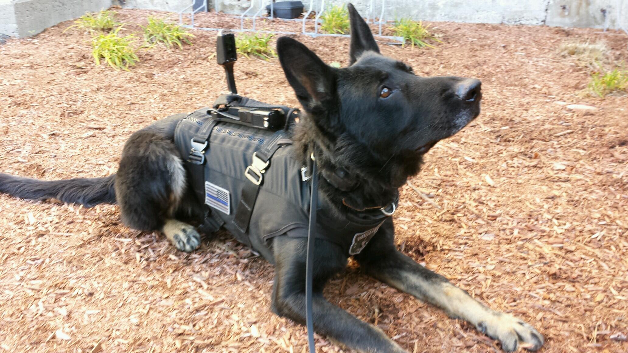 K9 camera system 2025