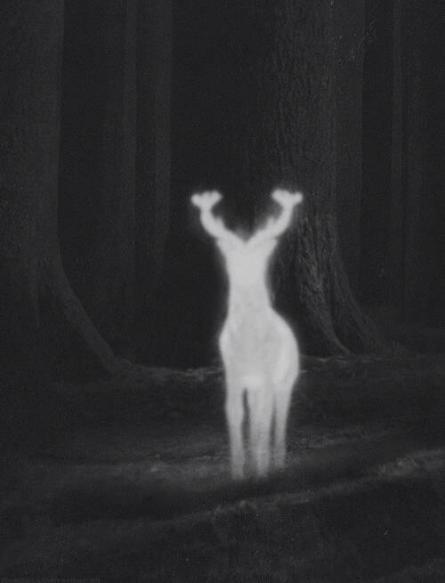 Daaveeeeee's tweet image. 