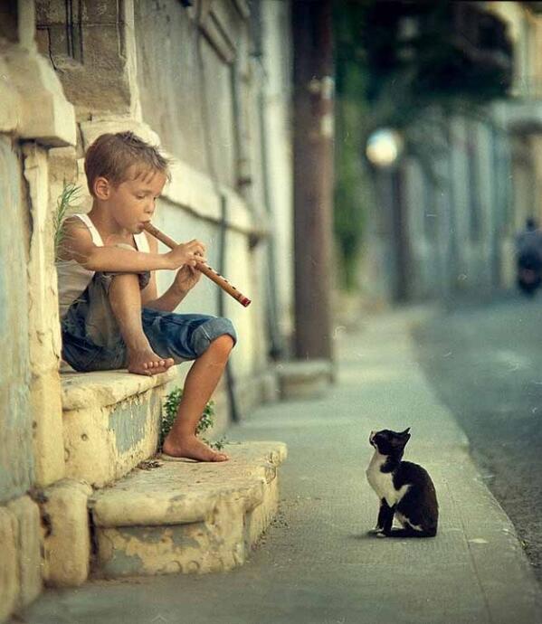 UniqueLifePics tweet picture