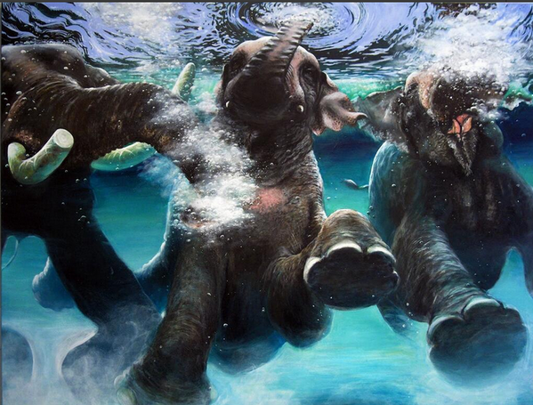 3 Elephants Diving