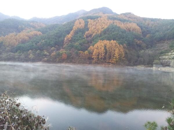 #밀양 도곡 경찰이 오기전에는 아니 송전탑이 건설되기 전에는 이렇게 평온하고 아름다운 마을인데. 왜 평화롭게 사는 마을분들을 아프게 할까? 자본의 탐욕은 정말 끝이 없다.