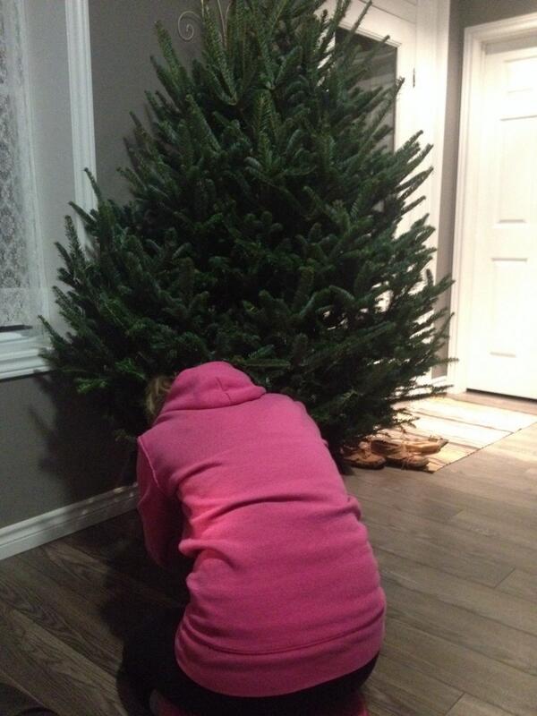 mccann_steph's tweet photo. Now it's Christmas @toondiggity http://t.co/nQ41nPM1lP