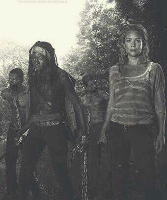 walkingdeadfa18's tweet image. Michonne saved andrea from the.walkers and became best friends