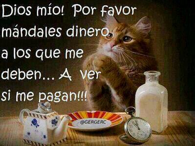 GERGERC's tweet photo. http://t.co/Rpf1508SVk