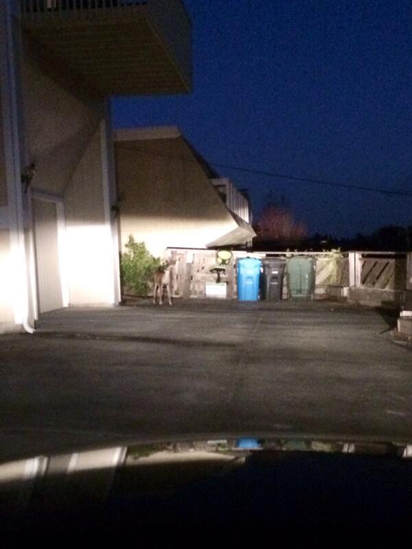 ojf_lol's tweet image. #bayareaproblems