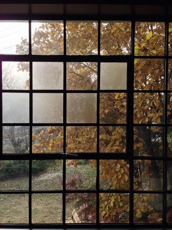 adkids's tweet photo. 빛나는 가을의 막바지 풍경. http://t.co/BhZEEUohOV