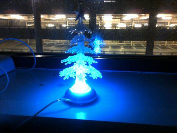 carysdavies1994's tweet image. Getting ready for christmas #LEDtree
