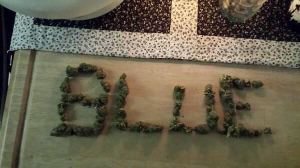 JZ_BLU's tweet image. @TeamKushNotes .. Positive Vi9es Good Times .. Staylifted N Stay Great .  #TEAMKUSHNOTES