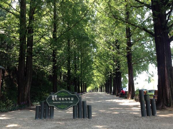 담양 메타세쿼이아길 :)) 여름의 모습 !!
<a href="/Kor_Visitkorea/">한국관광공사 :: 까우니의 대한민국 구석구석</a>  #트래블리더