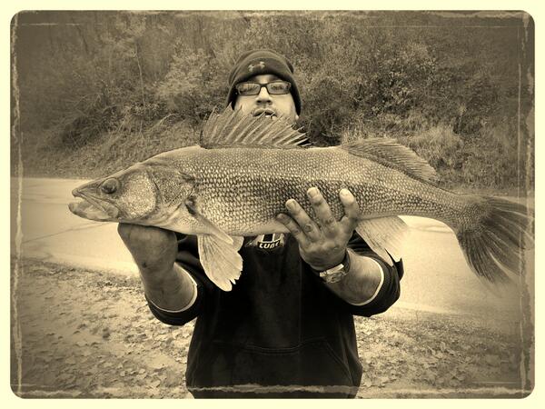 30 inch walleye