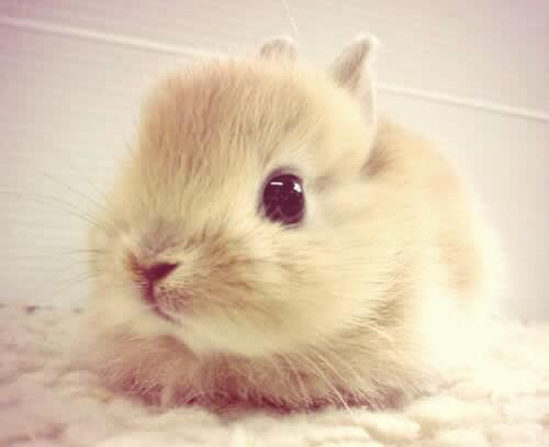 Dramatic Whisky tweet media