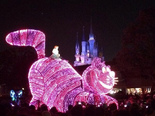 shiii333s's tweet photo. ディズニー楽しかったー http://t.co/Zcya0XLZfn