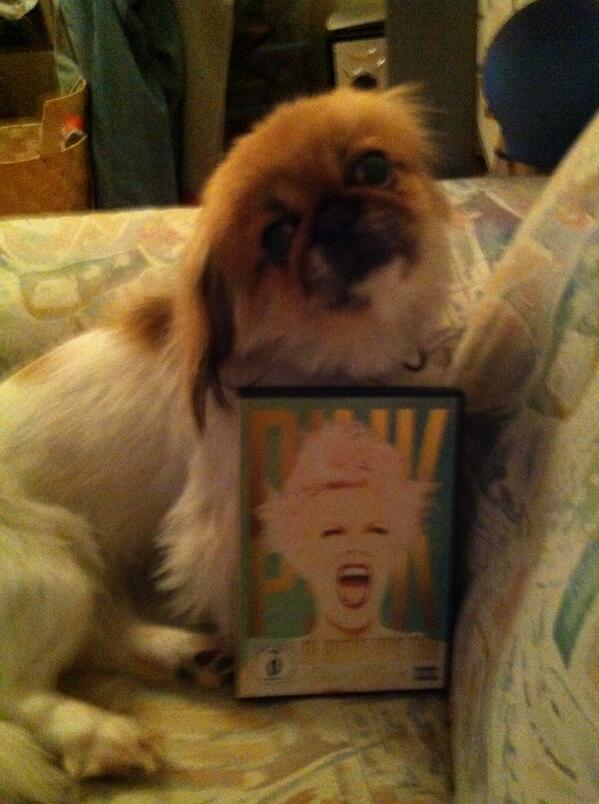 JayC78's tweet photo. @SelectPink @Pink @PinkFans_ @PinkEuropeans we are happy http://t.co/MXwmbxnxLG