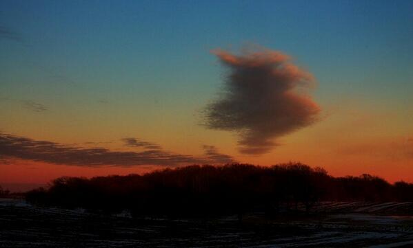 1 cloud streamzoo.com/i/14148945