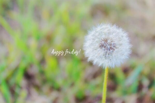 AnyLabTestAZ tweet picture