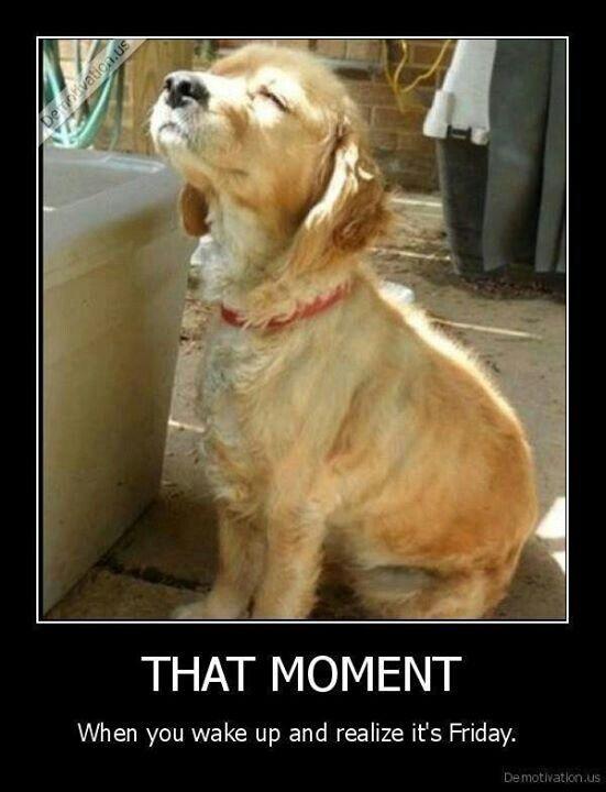 It's #thesmallthings in life...happy #Friday, friends!