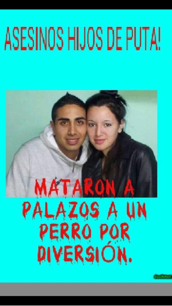 PabloNubilis's tweet image. Distribuir esta foto, asesinos de perros