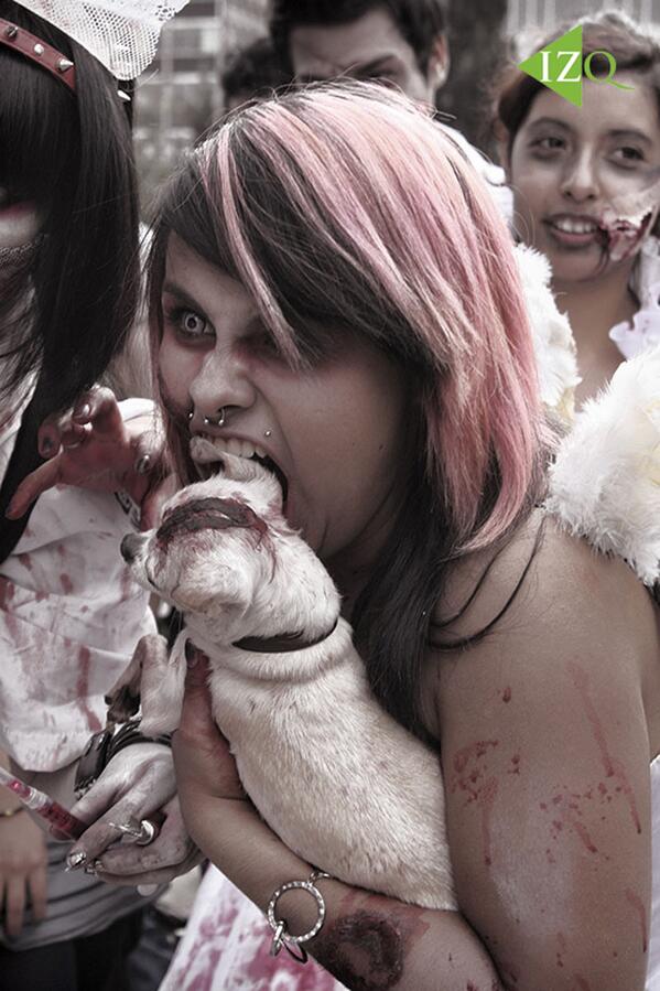 #ViernesConVDe Vamos a recordar el <a href="/zombiewalkmx/">Zombie Walk México</a> 2012 #EnFotos bit.ly/17V20vh <a href="/zombiecausto/">zombiecausto</a>