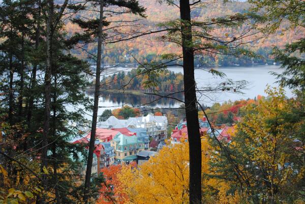 Steffi_Heyse's tweet photo. Old fall in Mon Tremblant #NostalgicExchangeStudent http://t.co/RUpdw1TZ91