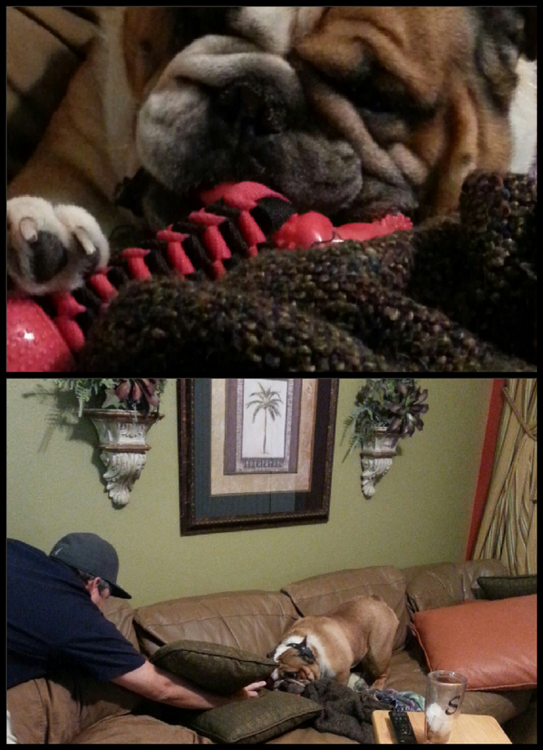 PrissynEJBullys's tweet image. Dis iz my new toy. Dad tinks he can play wif it without askin. I don't care who paid fur it old man.