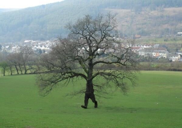 If you dont like where you are, move on! You are not a tree.