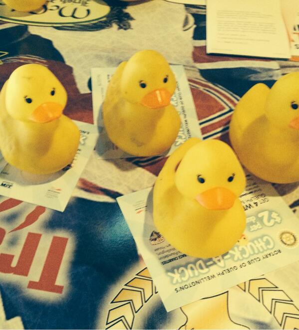 carolyn_pilates's tweet photo. Love #TGIF @cucinaguelph @Storm_City @Bobby_OBriens @SamuelHall_20 #chuck-a-duck #gostormgo #19isthebest http://t.co/FA17v4ME6I