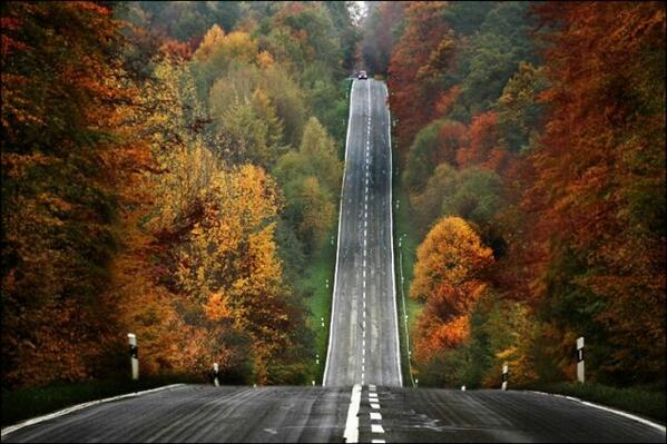 firsssovvva's tweet image. Легких вам дорог,в этом дне,друзья!:-) #доброеутра