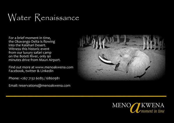 The long coming rains have finally arrived in the Kalahari.  The last rainy season ended 7 months ago