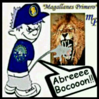 soloseriosok's tweet photo. Y donde estan los leones o leonas http://t.co/YYUhm2Pklr