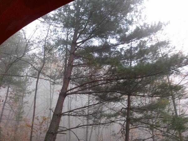 청풍호관광모노레일 안에서 찍은 사진 :))
비봉산의 아침 입니다~~<a href="/Kor_Visitkorea/">한국관광공사 :: 까우니의 대한민국 구석구석</a>  #트래블리더