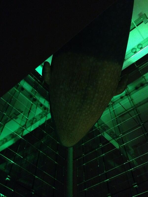 CynthiaIburg's tweet photo. Last chance to dance under the whale. New surprise for 2014 #naturenocturne http://t.co/tyDsZIIXv5