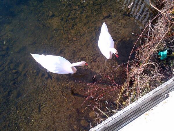 janemcnabb's tweet photo. Our friends are waiting to greet you @joljones http://t.co/VO1ueARFXD