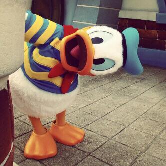 <a href="/love_22111/">دلوعة راك...</a>. (°-^)