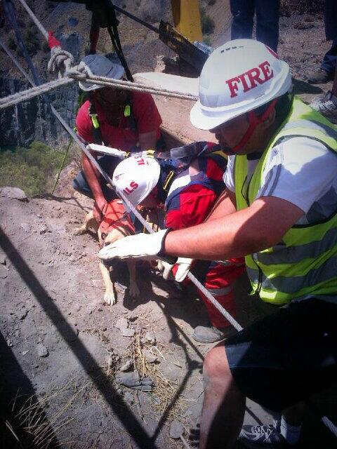 LynnNagel1's tweet image. @ER24EMS #SAPSearchRescue #Underdog Thank you thanks to all, you guys are amazing, grateful the dog has been rescued