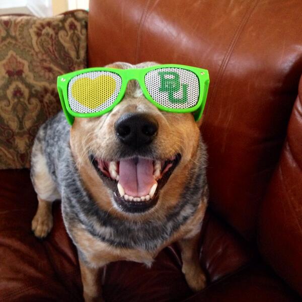 mileyakers3's tweet photo. @ATT Rosco says Sic-Em Bears!!  #BeTheFan http://t.co/N5fK5boQSS