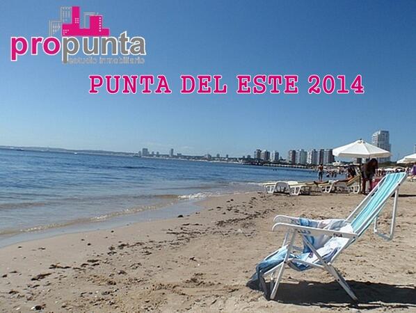 PropuntaEstudio's tweet image. 